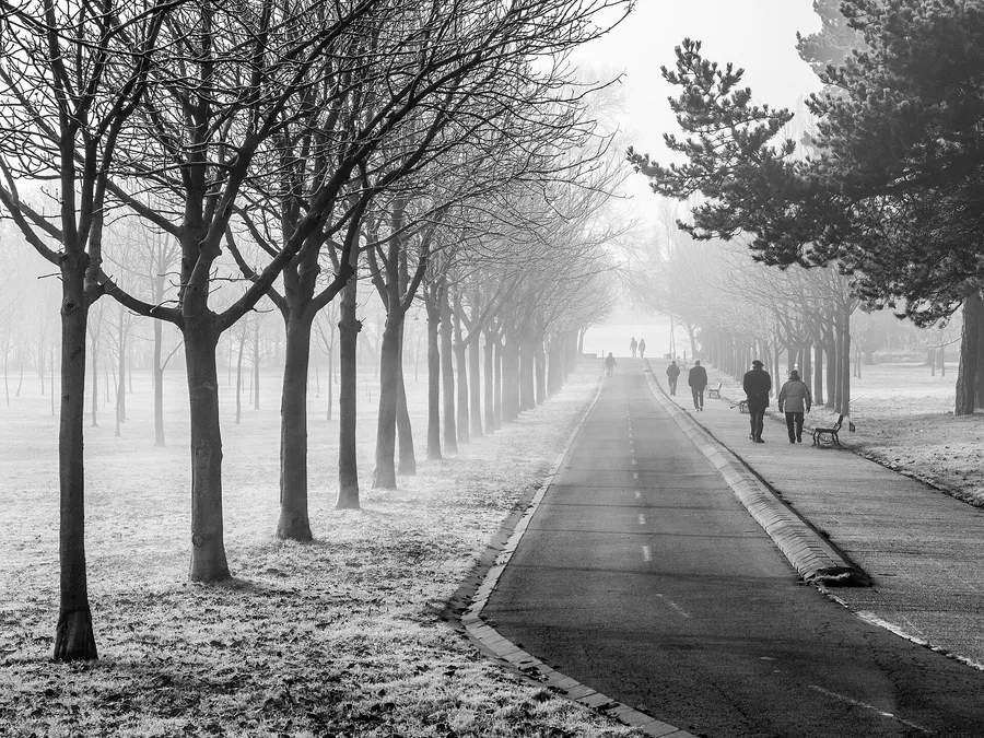 How we cover F9 Photo Travel
